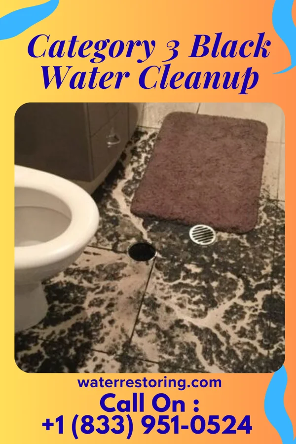 Category 3 Black Water Cleanup in Oak Hill, OH
