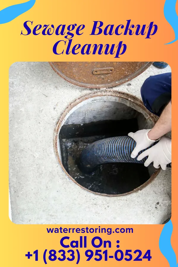 Sewage Backup Cleanup in Oak Hill, OH