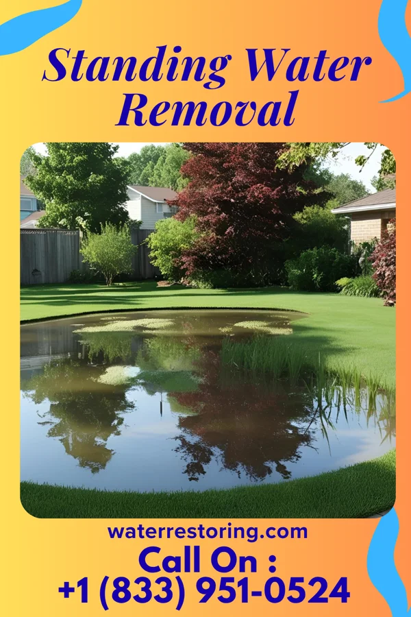 Standing Water Removal in Oak Hill, OH